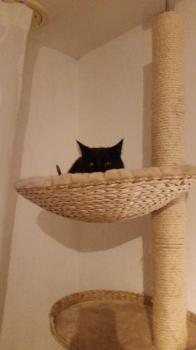 Bild von Coco