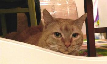 Bild von Mabel