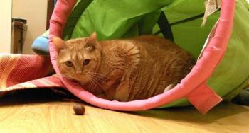 Bild von Mabel
