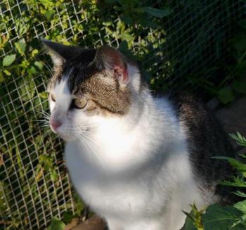 Pequita Bild von Pequita