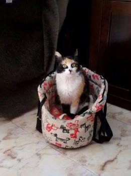 Bild von Muneca
