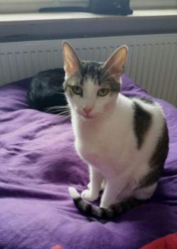 Reed Bild von Reed