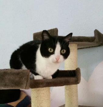 Agata Bild von Agata