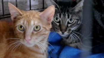 Nicole Bild von Nicole