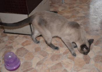 Lui Bild von Lui
