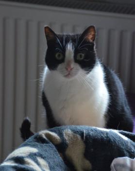 Agata Bild von Agata