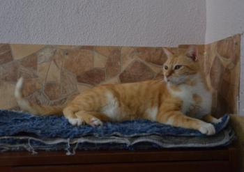 Lisi Bild von Lisi