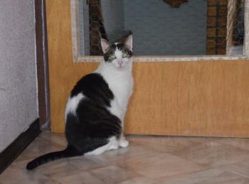 Taramis Bild von Taramis