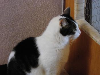 Taramis Bild von Taramis