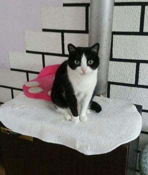 Agata Bild von Agata