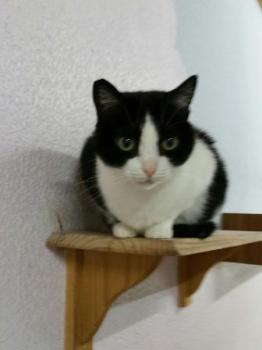 Agata Bild von Agata