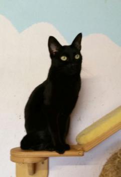 Lucia Bild von Lucia