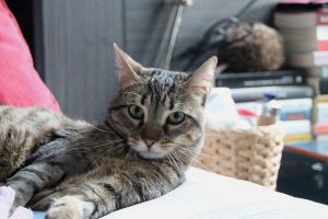 Lenny Bild von Lenny