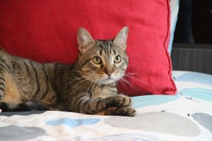 Lenny Bild von Lenny