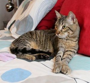 Lenny Bild von Lenny