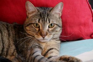 Lenny Bild von Lenny