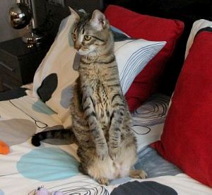 Lenny Bild von Lenny
