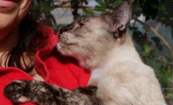 Bild von Mandy