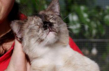 Bild von Mandy