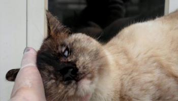 Bild von Mandy