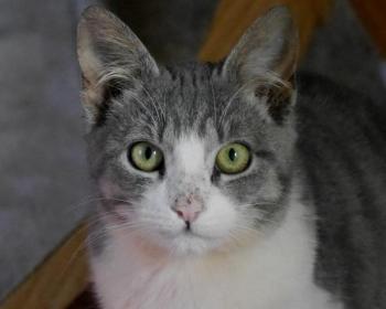 Taio Bild von Taio