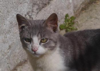 Taio Bild von Taio