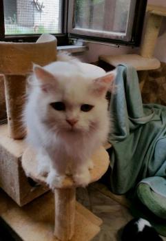 Totoo Bild von Totoo