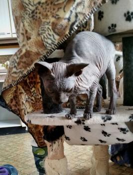 Blacky Bild von Blacky