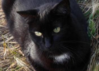 Sally Bild von Sally