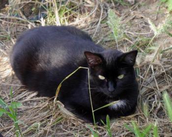 Sally Bild von Sally