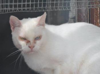 Nathan Bild von Nathan