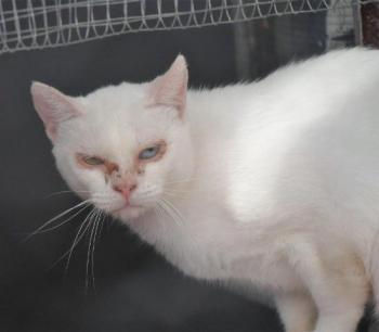 Nathan Bild von Nathan