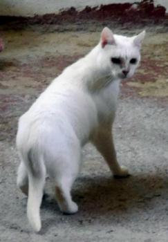 Nathan Bild von Nathan