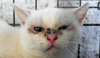 Nathan Bild von Nathan