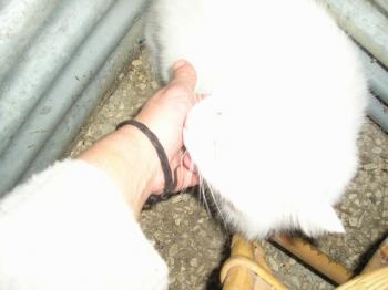 Iria Bild von Iria