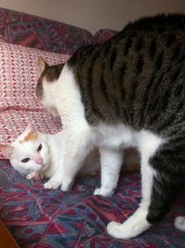 Yuki Bild von Yuki