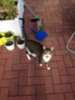 Rayito Bild von Rayito