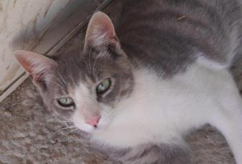 Taio Bild von Taio