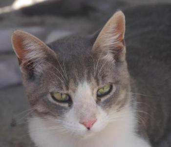 Taio Bild von Taio