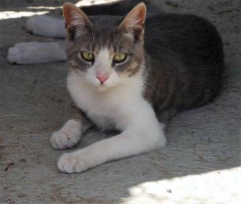 Taio Bild von Taio