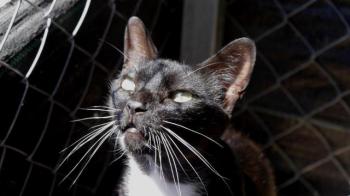 Auxi Bild von Auxi