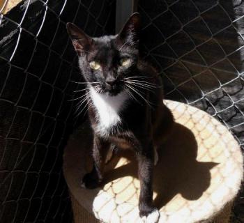 Auxi Bild von Auxi