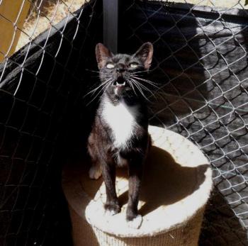 Auxi Bild von Auxi