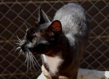 Auxi Bild von Auxi