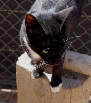 Auxi Bild von Auxi