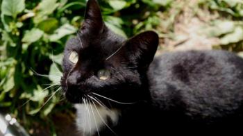 Auxi Bild von Auxi