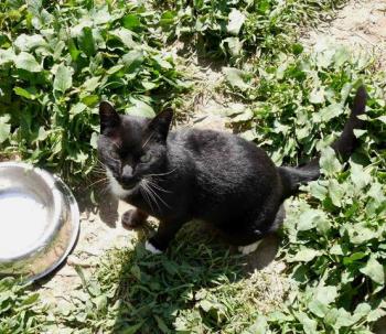 Auxi Bild von Auxi