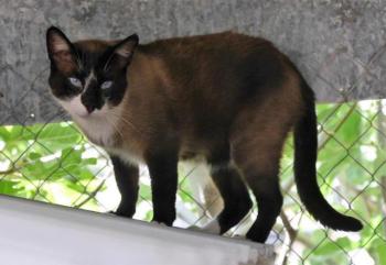 Sanouk Bild von Sanouk