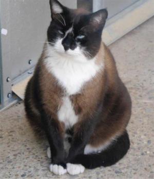 Sanouk Bild von Sanouk