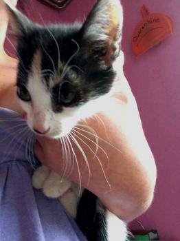 Fienchen Bild von Fienchen